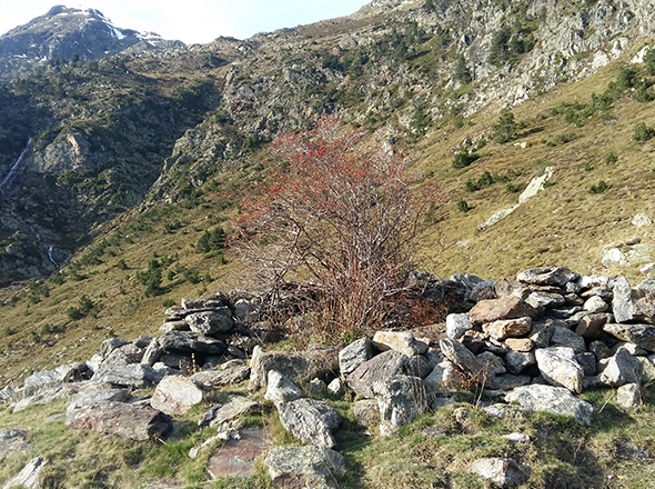 Itinerari de la pedra seca